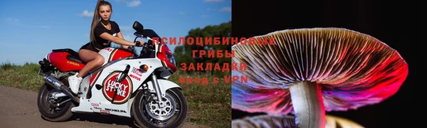 бошки Зеленокумск