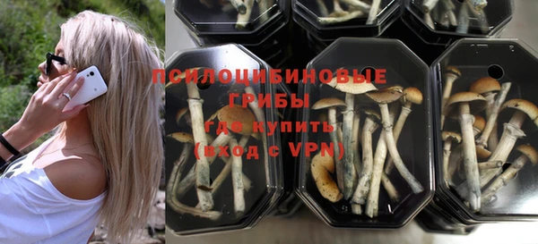 бошки Зеленокумск