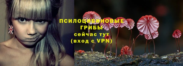 бошки Зеленокумск
