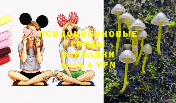 первитин Зерноград
