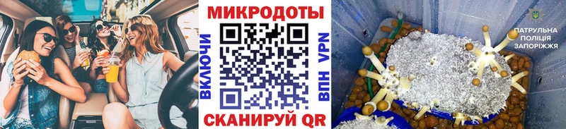 Галлюциногенные грибы MAGIC MUSHROOMS  Кедровый 